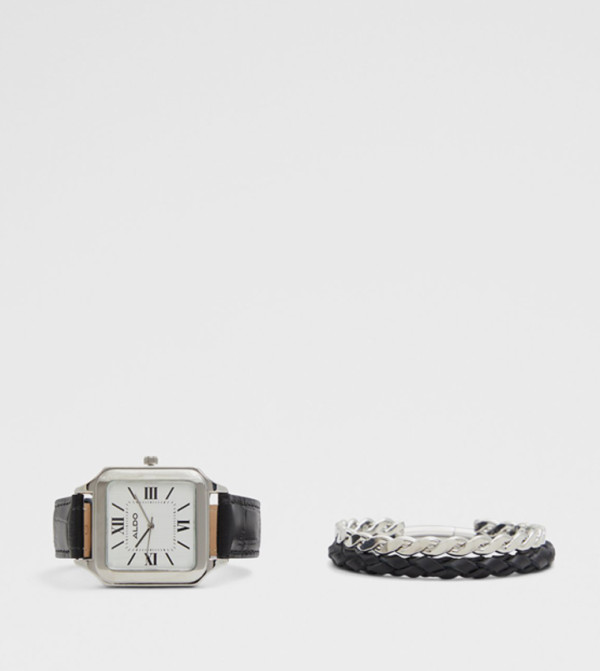 Aldo Accessories  Watches - Multi Analog Watches