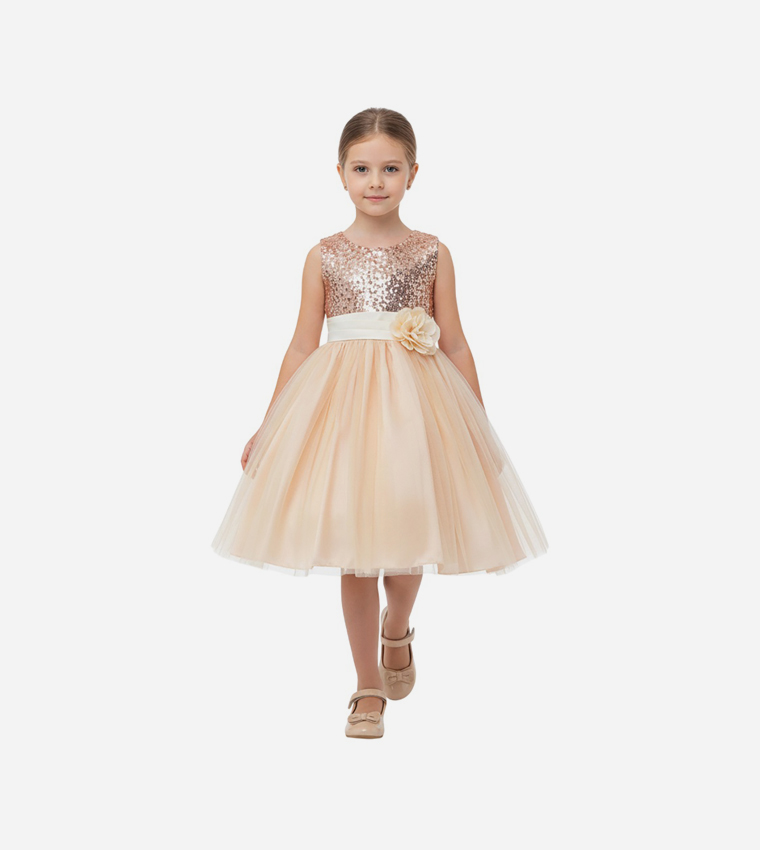 Sequined Fit and Flare Party Dress