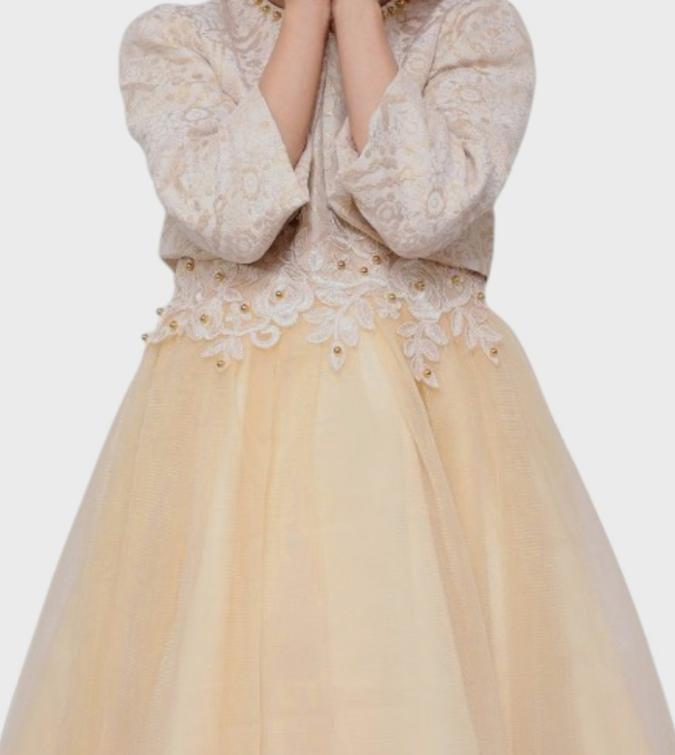 Samra Embroidered Party Dress with Jacket