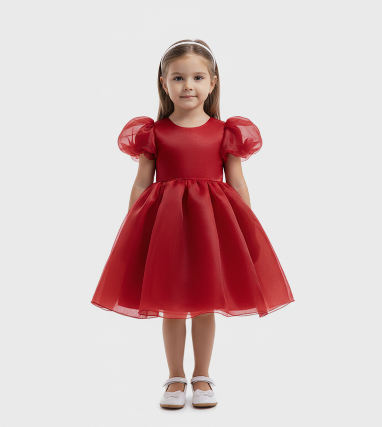 Balloon Sleeves Fit and Flare Dress