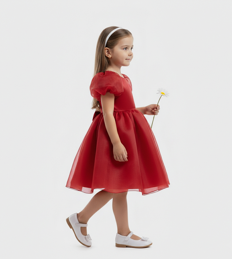 Balloon Sleeves Fit and Flare Dress