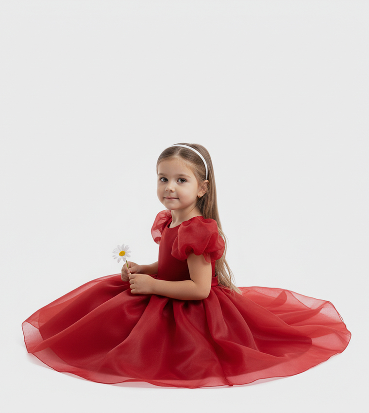 Balloon Sleeves Fit and Flare Dress
