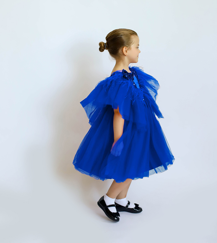 Sequined Dragonfly Tulle Dress