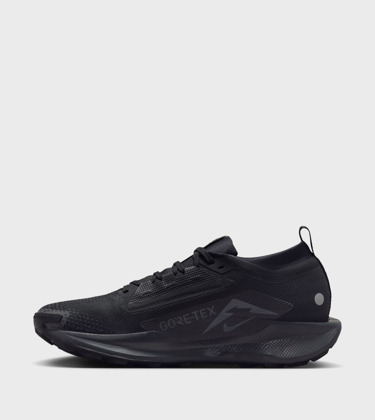 PEGASUS TRAIL 5 GORE-TEX Running Shoes