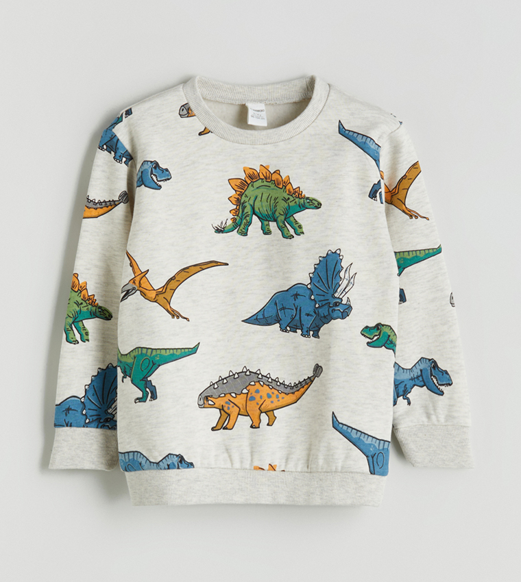 Printed Crew Neck Sweatshirt