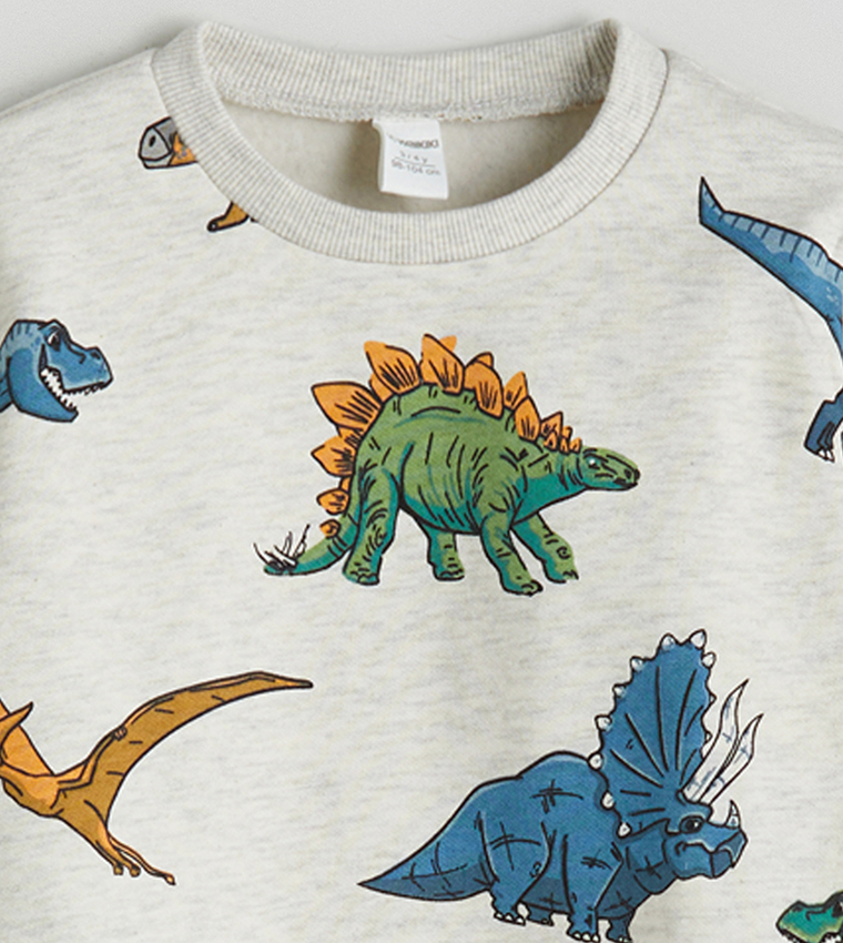 Printed Crew Neck Sweatshirt