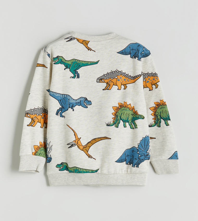 Printed Crew Neck Sweatshirt