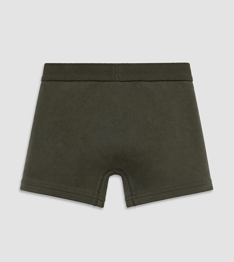 LC Waikiki  Trunks & Briefs - Olive Trunks & Briefs