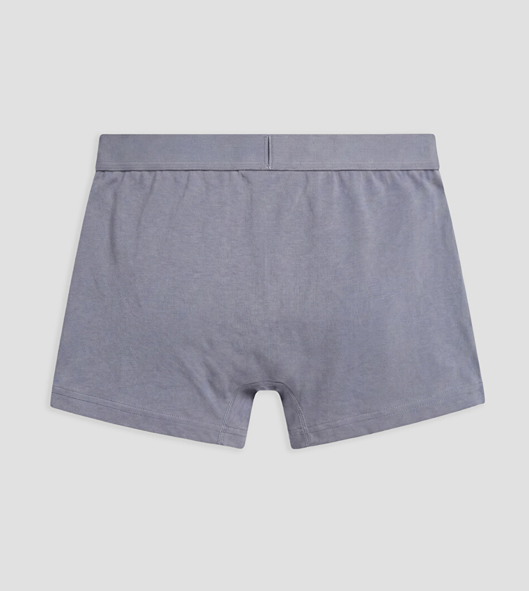 LC Waikiki  Trunks & Briefs - Blue Trunks & Briefs