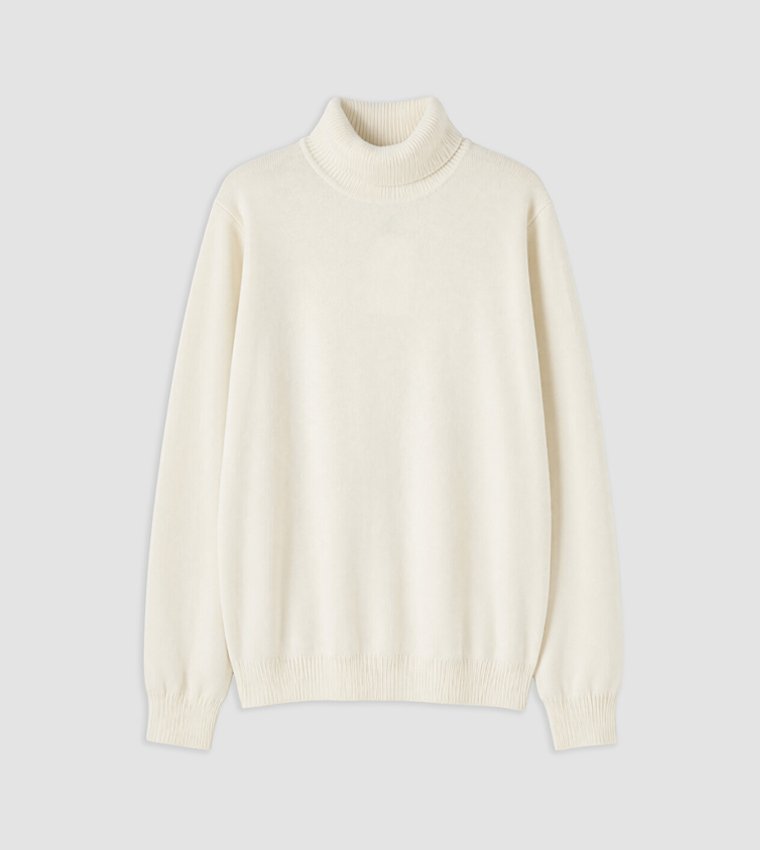 Solid Turtle Neck Sweater