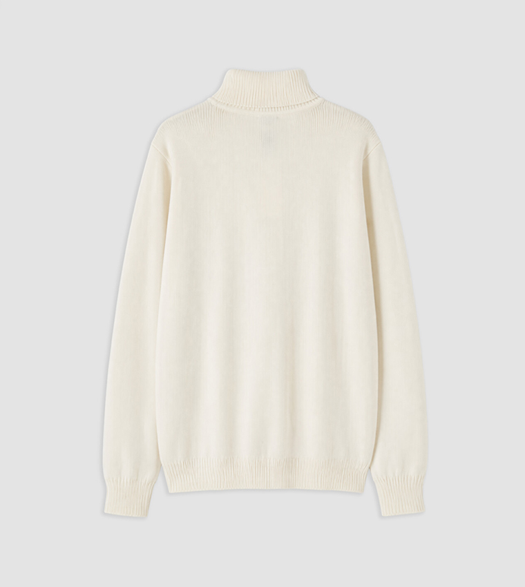 Solid Turtle Neck Sweater