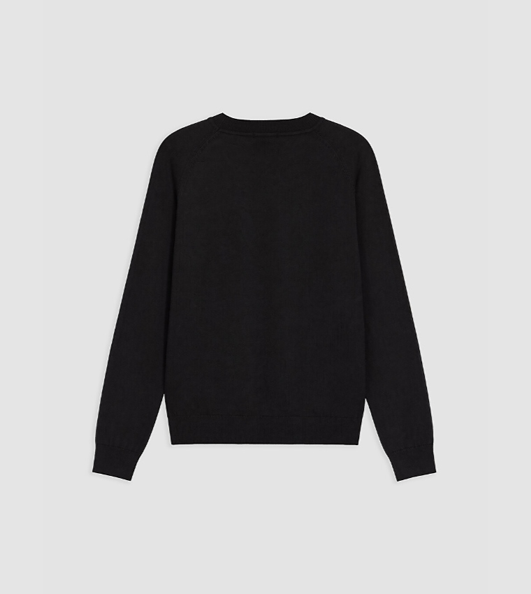 Solid Crew Neck Sweater
