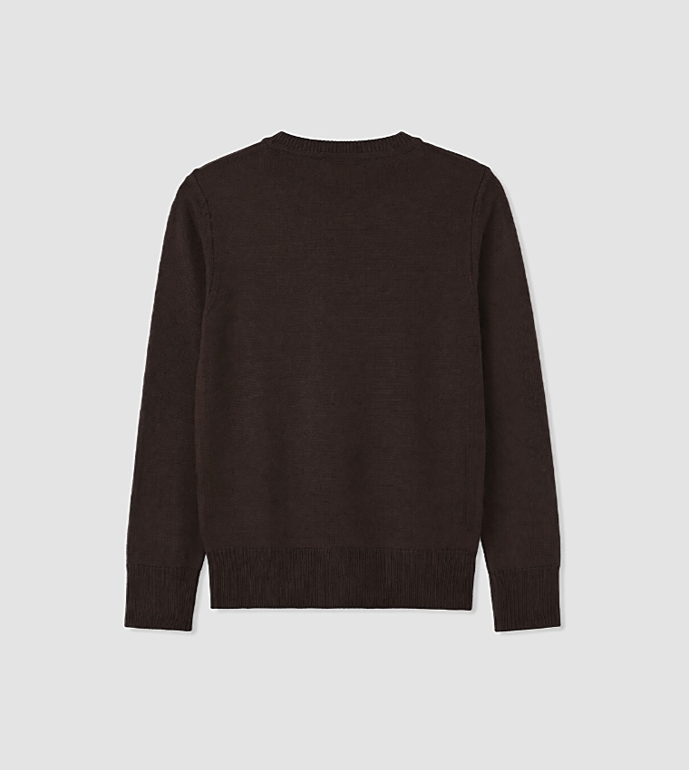 اٍل سي واي كيكي  سترات بياقة دائرية - بني  Round Neck Sweaters