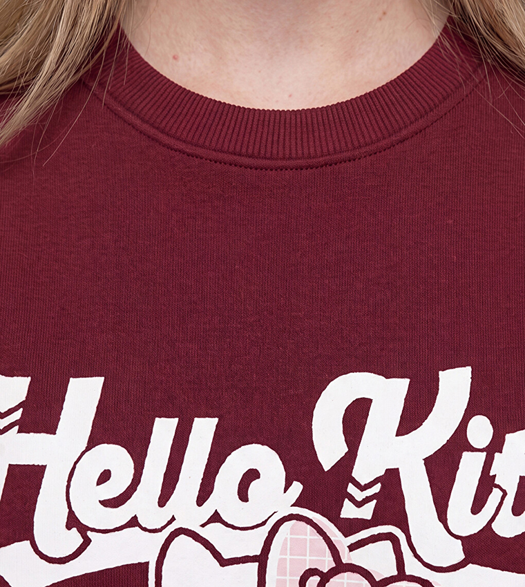LC Waikiki  Sweatshirts - Burgundy Sweatshirts