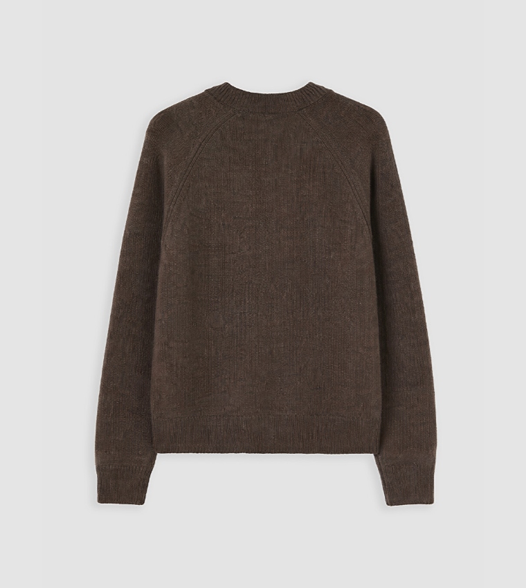 اٍل سي واي كيكي  سترات بياقة دائرية - بني  Round Neck Sweaters