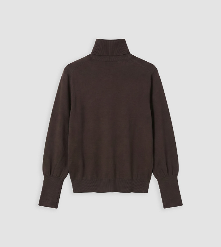 LC Waikiki  Turtleneck Sweaters - Brown Turtle neck Sweaters