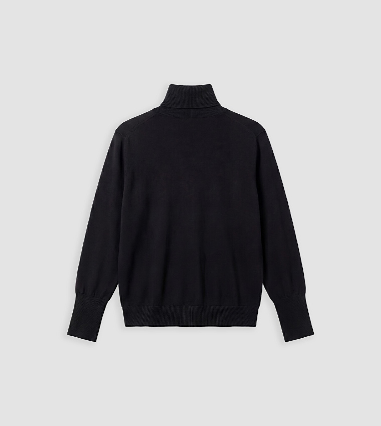 LC Waikiki  Turtleneck Sweaters - BLACK Turtle neck Sweaters
