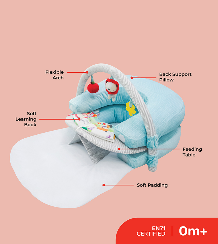  Babygrow 2 In 1 Nap and Play Travel Floor Mat with Mosquito Net