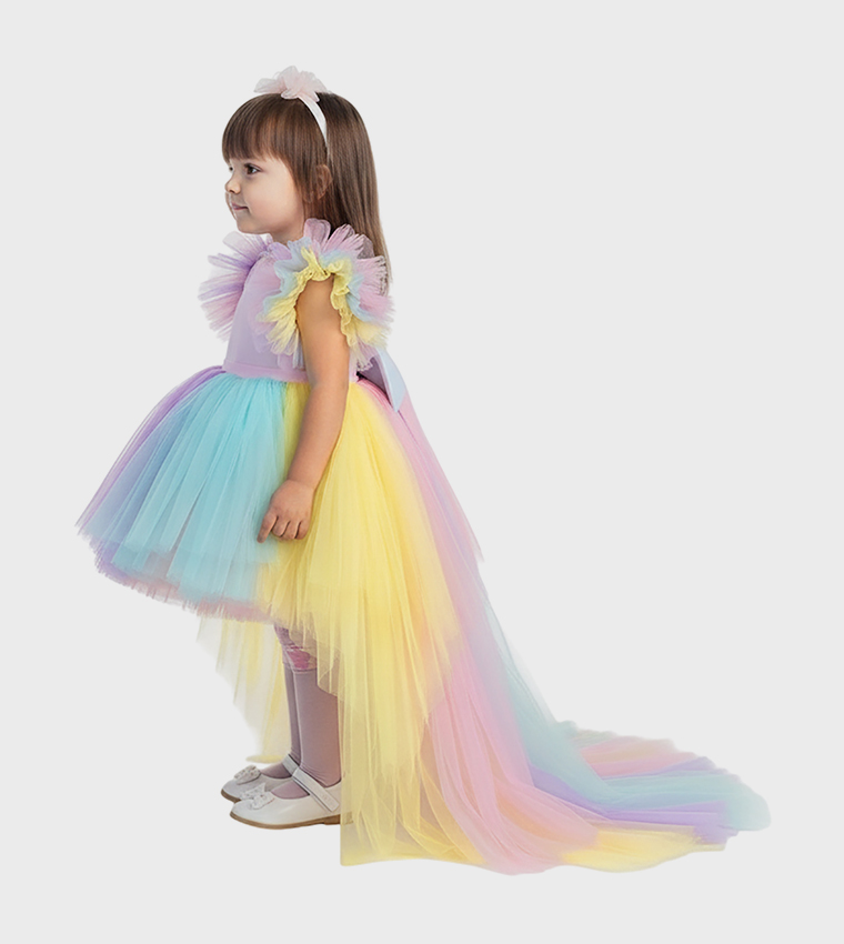 Ruffle sleeves high-Low Tulle Dress