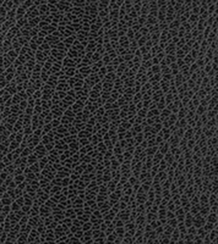 BOWIE Textured Crossbody Bag