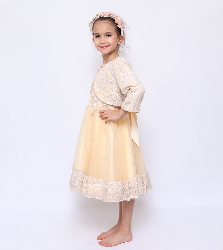 Samra Embroidered Party Dress with Jacket