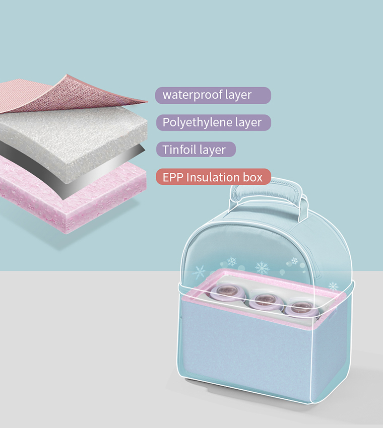 Insulated Lunch Bag with Thermo Box