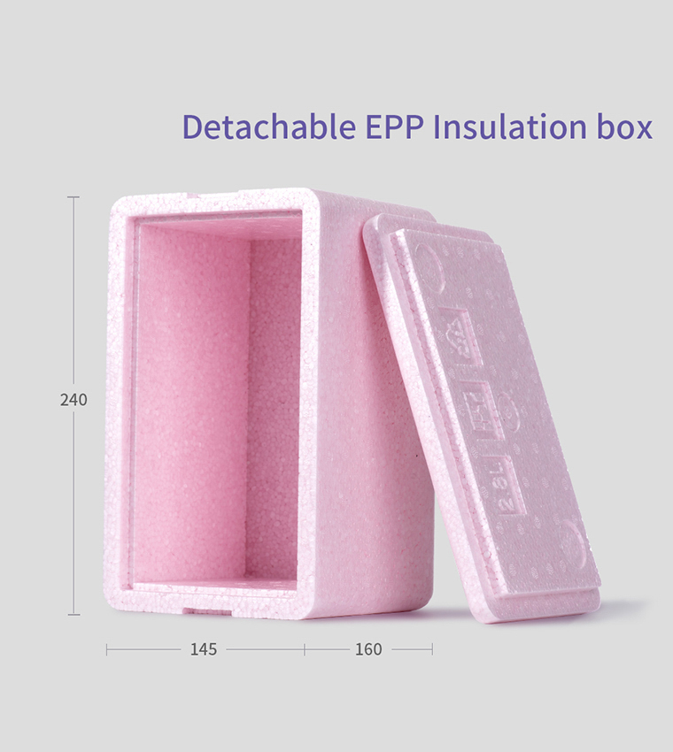 Insulated Lunch Bag with Thermo Box