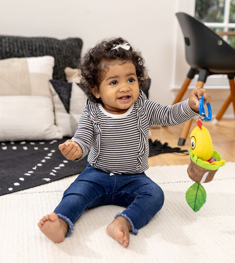 Cal-a-Puller Pull & Shake Toy