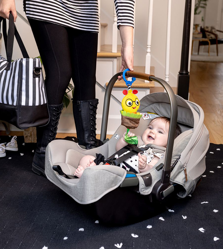 Cal-a-Puller Pull & Shake Toy