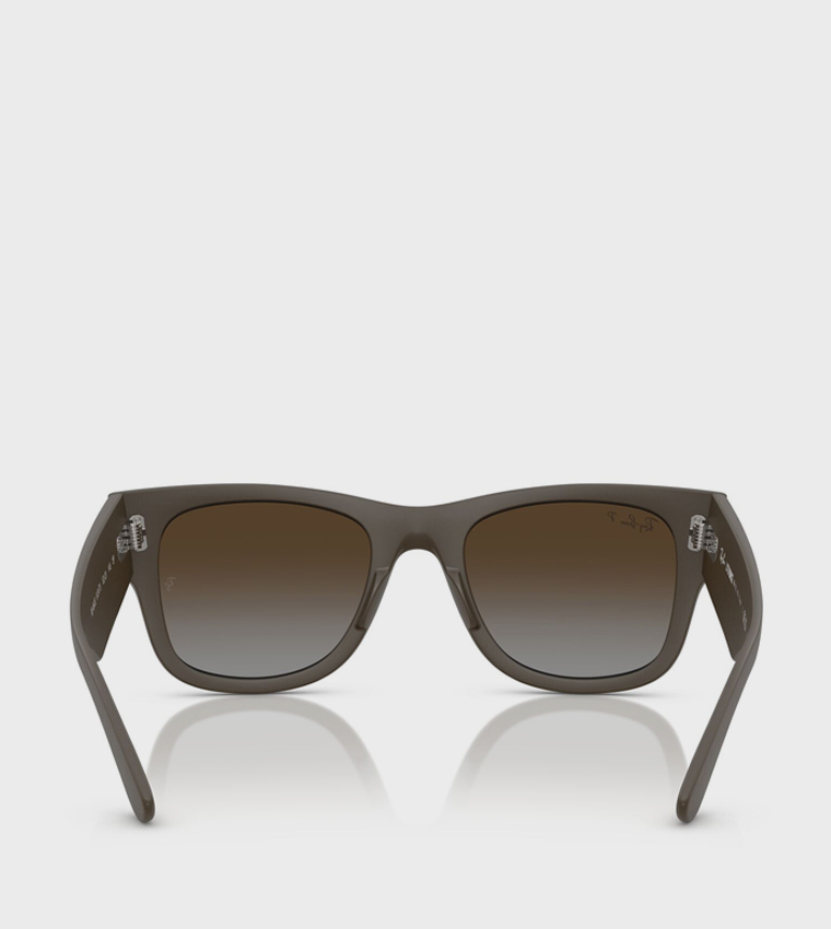 Full Rim Wayfarer Sunglasses