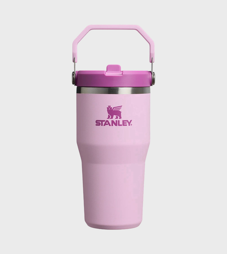Ice Flow GO Flip Straw Sipper, 600ml
