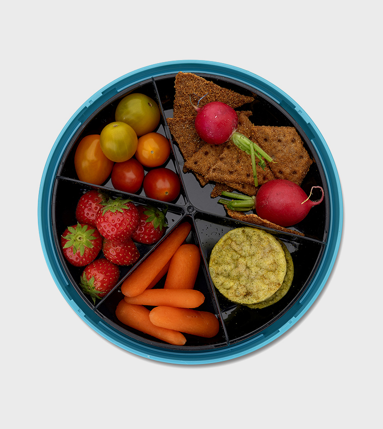 SWEDEN BentoDisc Lunch Box