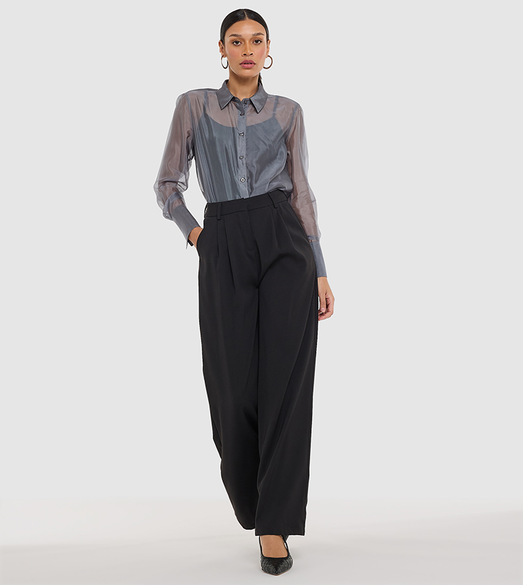 Sheer Organza Long Sleeves Shirt
