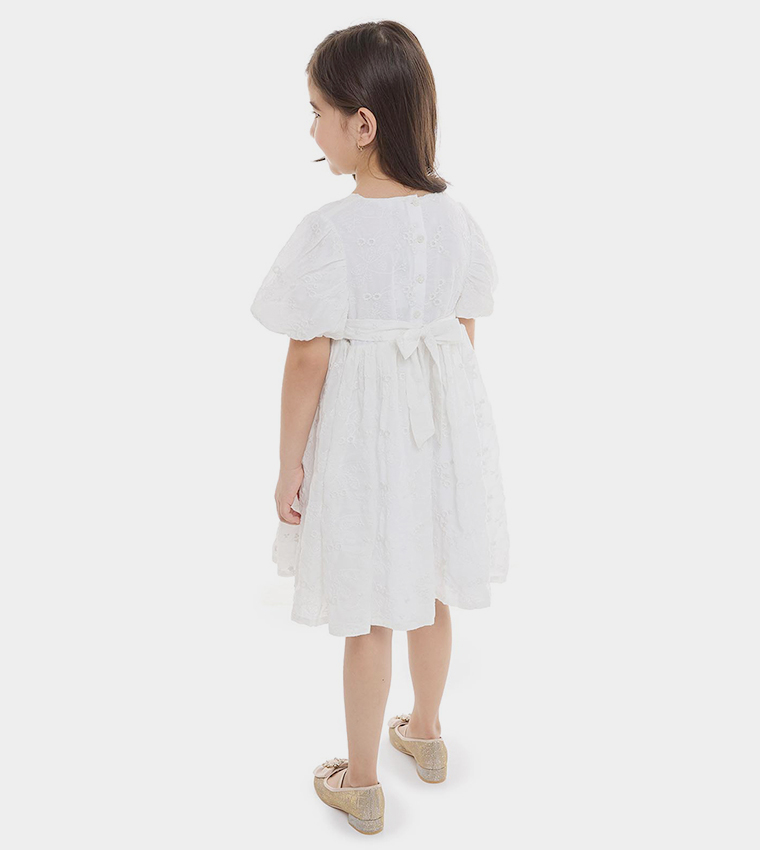 Embroidered Fit and Flare Dress with Crew Neck and Balloon Sleeves