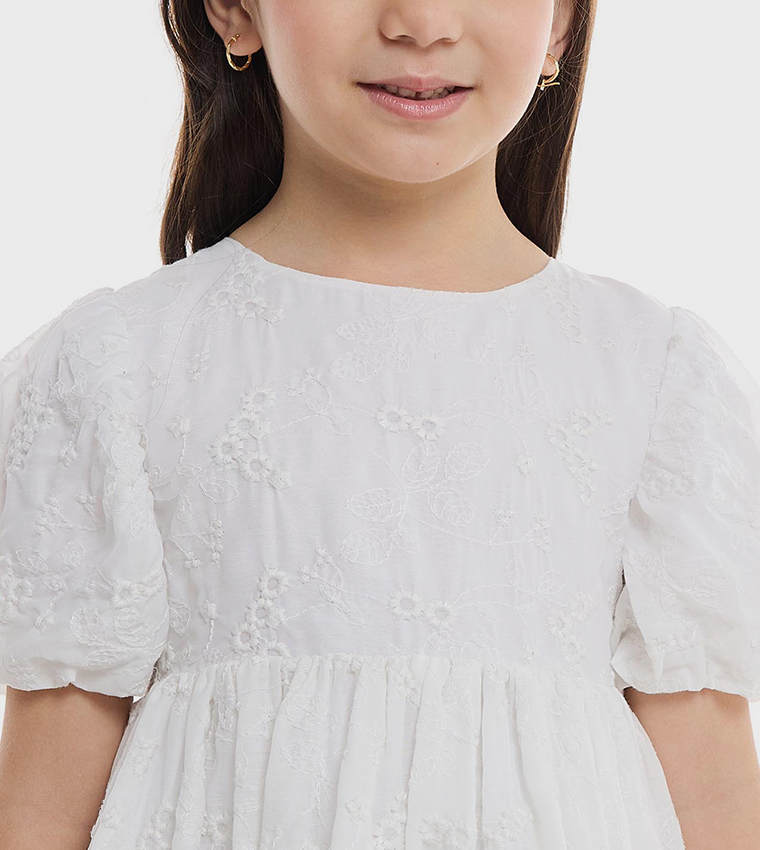 Embroidered Fit and Flare Dress with Crew Neck and Balloon Sleeves
