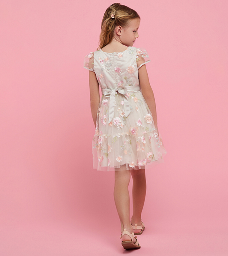 Embroidered Dress with Crew Neck and Cap Sleeves