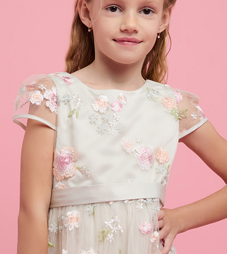 Embroidered Dress with Crew Neck and Cap Sleeves