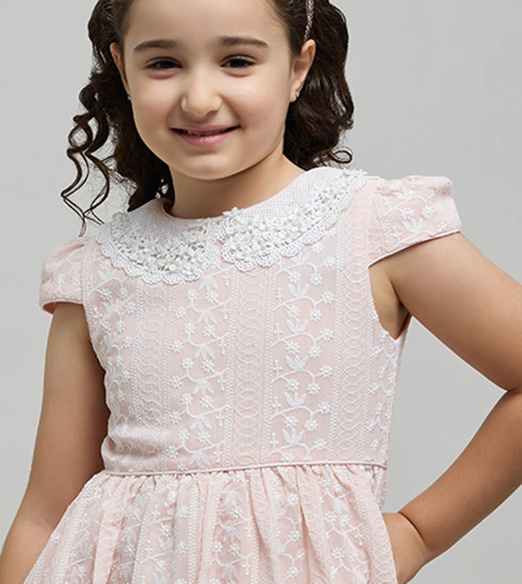 Embroidered Dress with Peter Pan Collar and Cap Sleeves