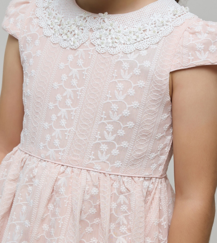 Embroidered Dress with Peter Pan Collar and Cap Sleeves