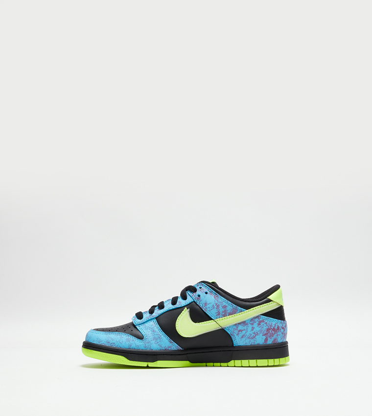Dunk Low Top Sneakers