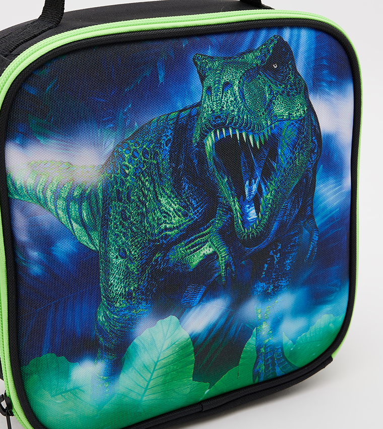Boys T-Rex Graphic Print Lunch Bag