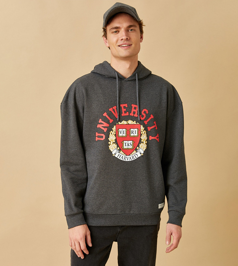 Harvard hoodie grey best sale