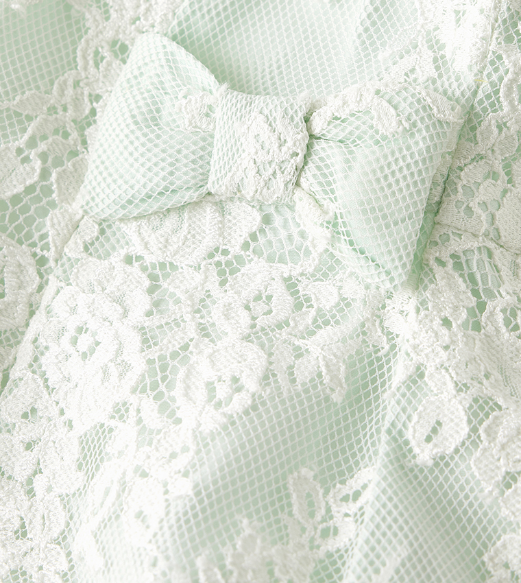 Floral Embroidered Fit and Flare Dress