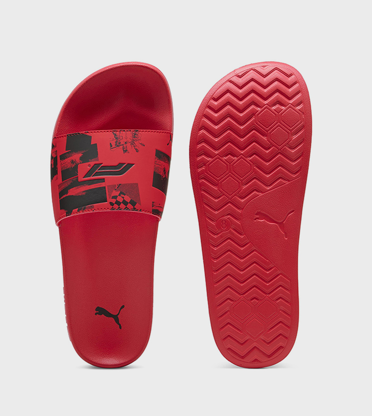F1 LEADCAT 2.0 Slides