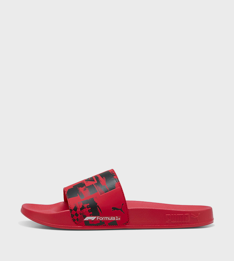 F1 LEADCAT 2.0 Slides