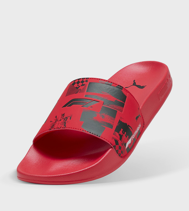 F1 LEADCAT 2.0 Slides