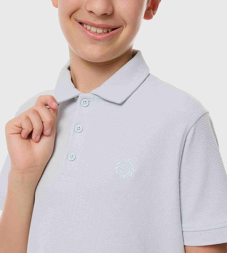 Embroidered Detail Polo T-Shirt with Short Sleeves