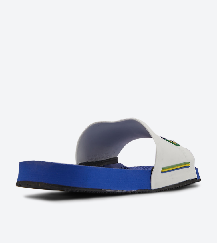 Brasil Logo Detailed Slides