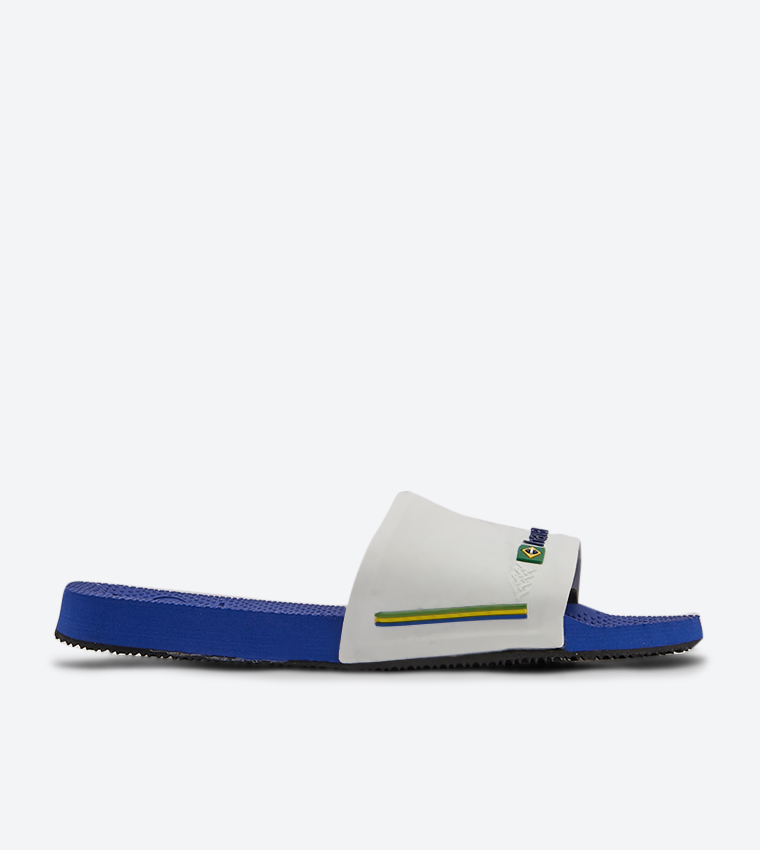 Brasil Logo Detailed Slides