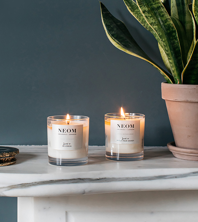 Scented Candle (1 wick): Feel Refreshed 185gm